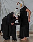 DSC_0110.jpg